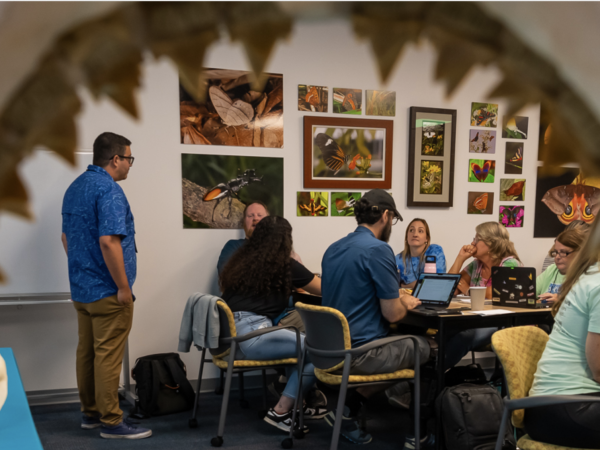 Group photo of Shark AI teacher workshop through jaws of a shark